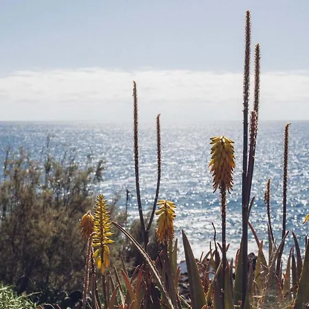 Canary Casita Next To The Atlantic Ocean * Bocacangrejo