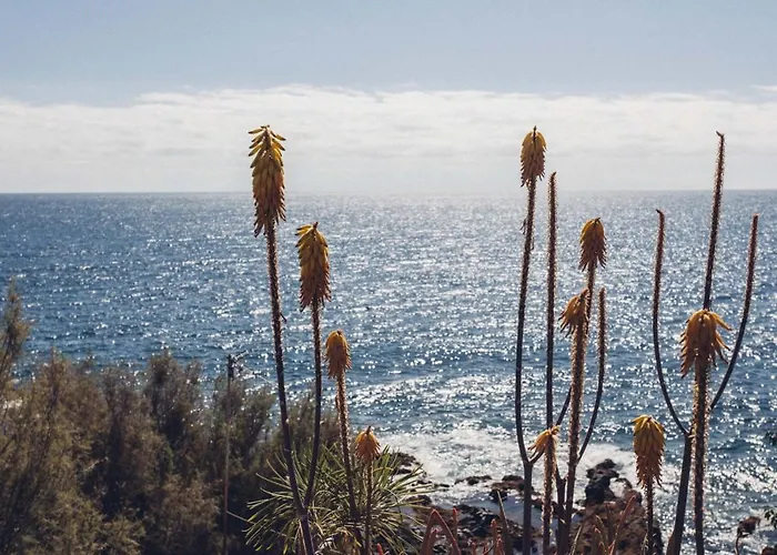 Canary Casita Next To The Atlantic Ocean *