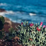 דירה Canary Casita Next To The Atlantic Ocean