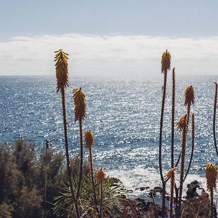 Canary Casita Next To The Atlantic Ocean *