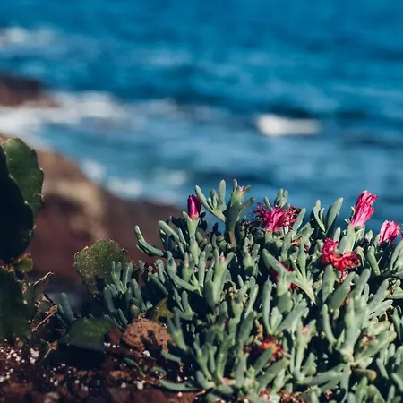 Apartamento Canary Casita Next To The Atlantic Ocean
