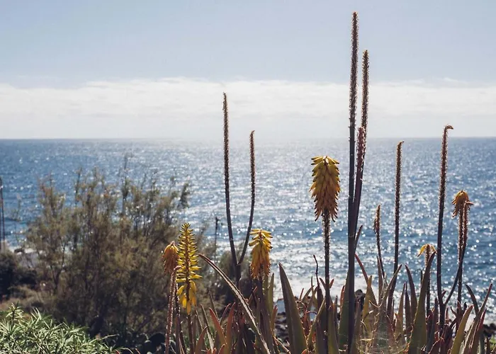 Canary Casita Next To The Atlantic Ocean * Radazul