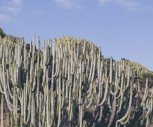 Canary Casita Next To The Atlantic Ocean