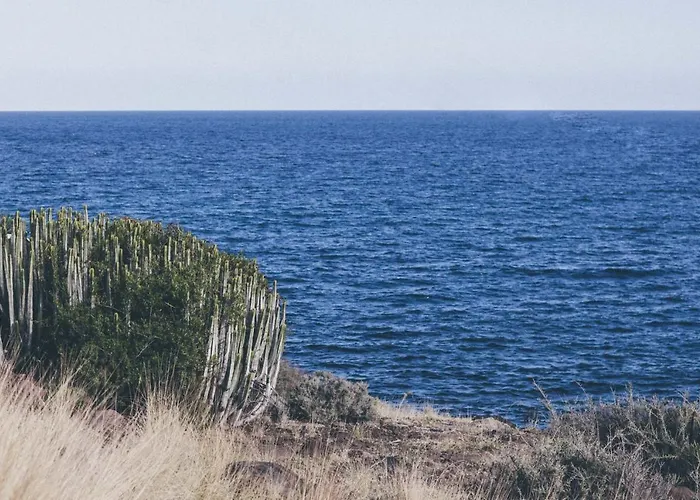 Canary Casita Next To The Atlantic Ocean